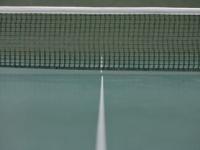 FB赛事直播-奥地利乒乓球队翻盘德国乒乓球队，王皓完成帽子戏法