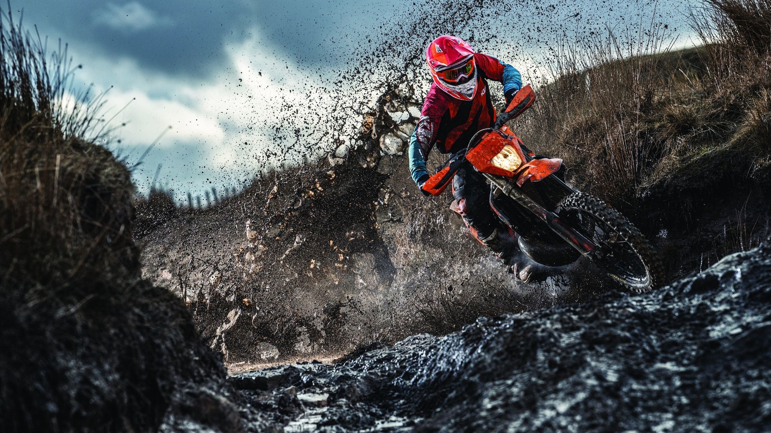 赛道上的艺术，维斯塔潘的极致演绎与法拉利的团队碾压